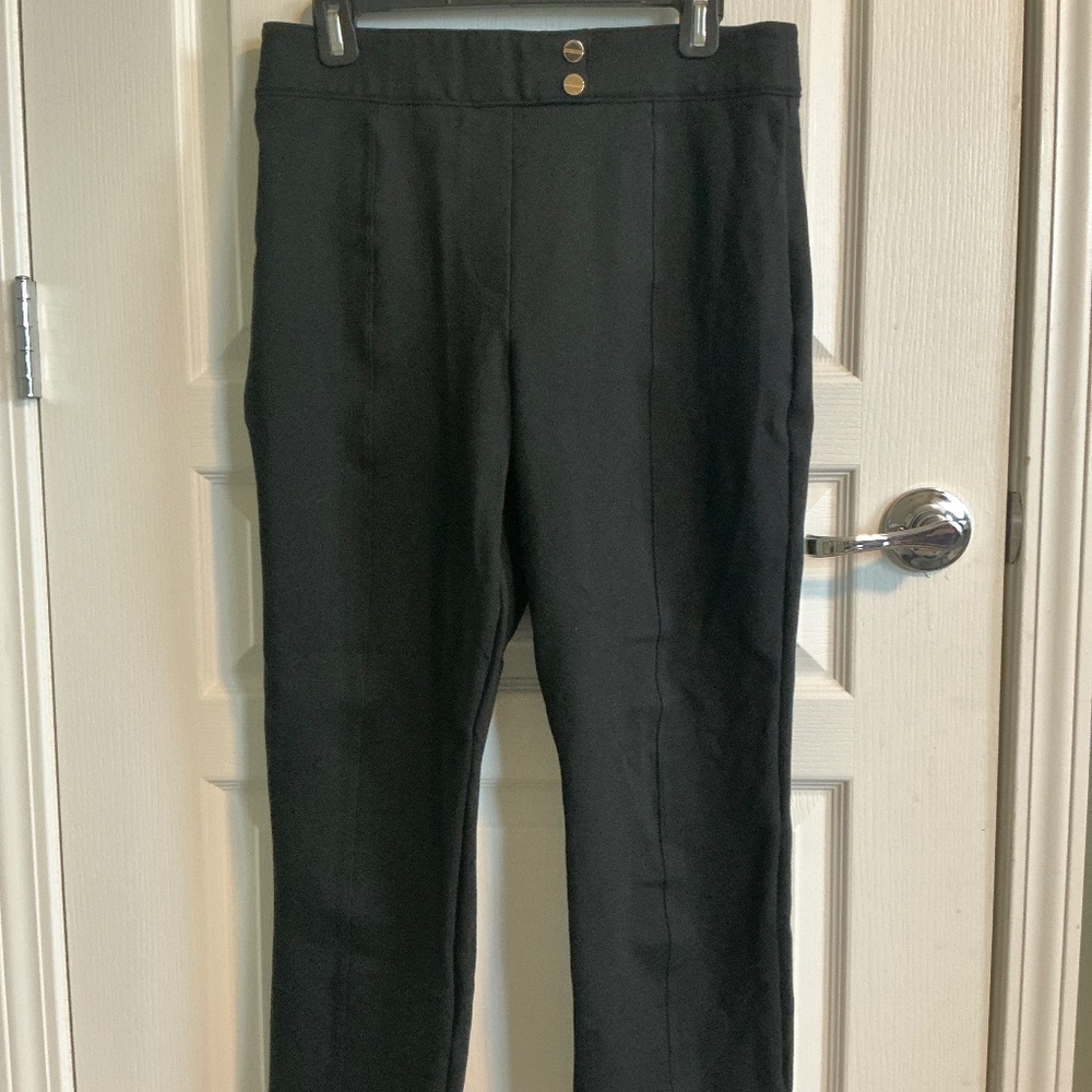Spanx Pull On Black Pointe Pants Large